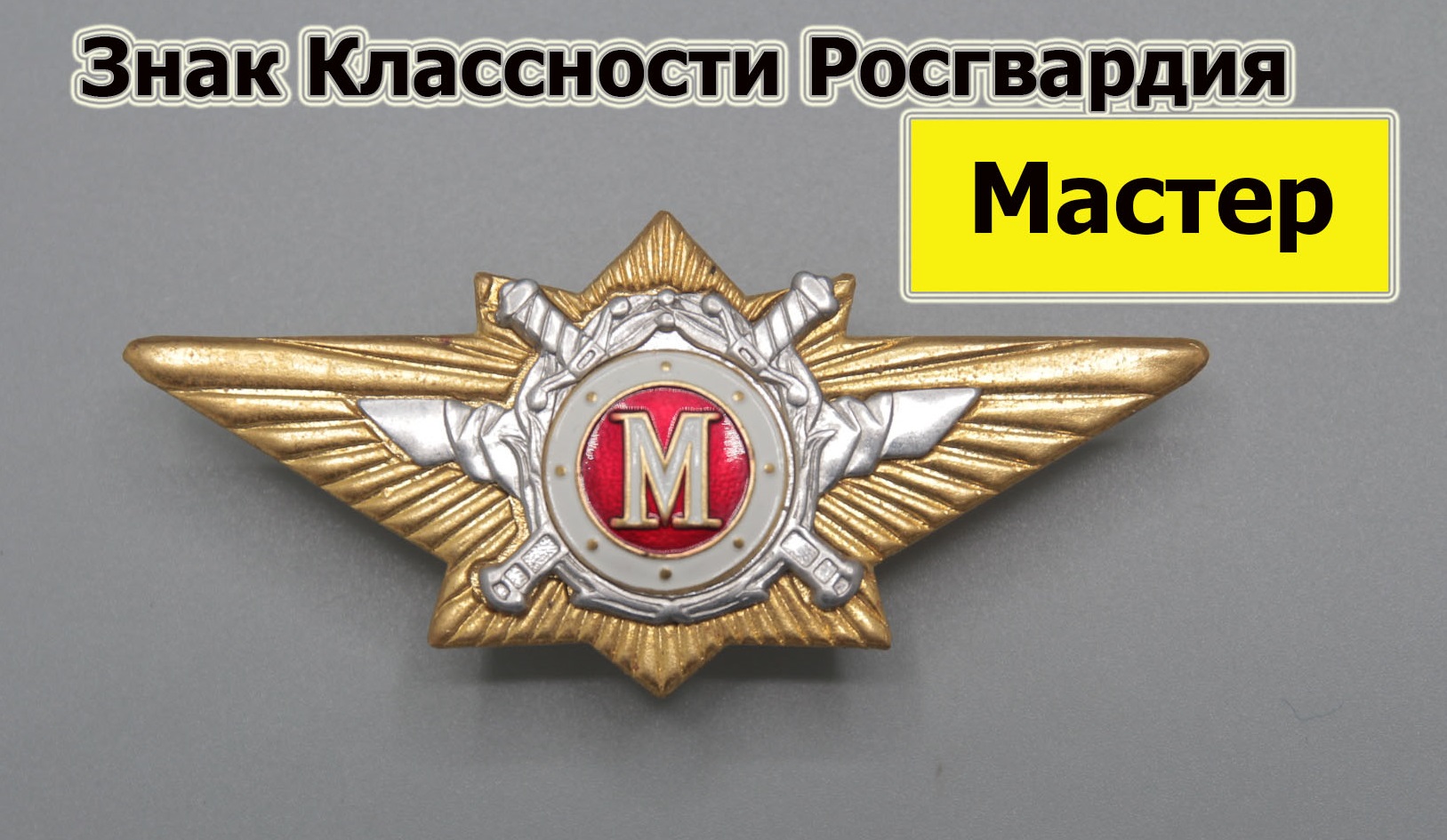 Нагрудный знак классность Росгвардия Мастер